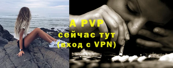 соль ск Волосово