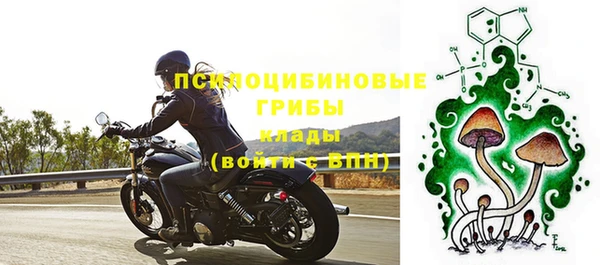 соль ск Волосово