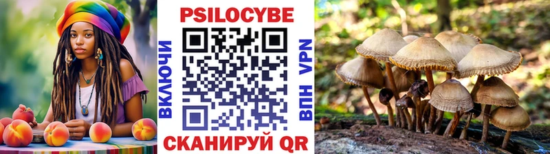 Галлюциногенные грибы Psilocybe Исилькуль
